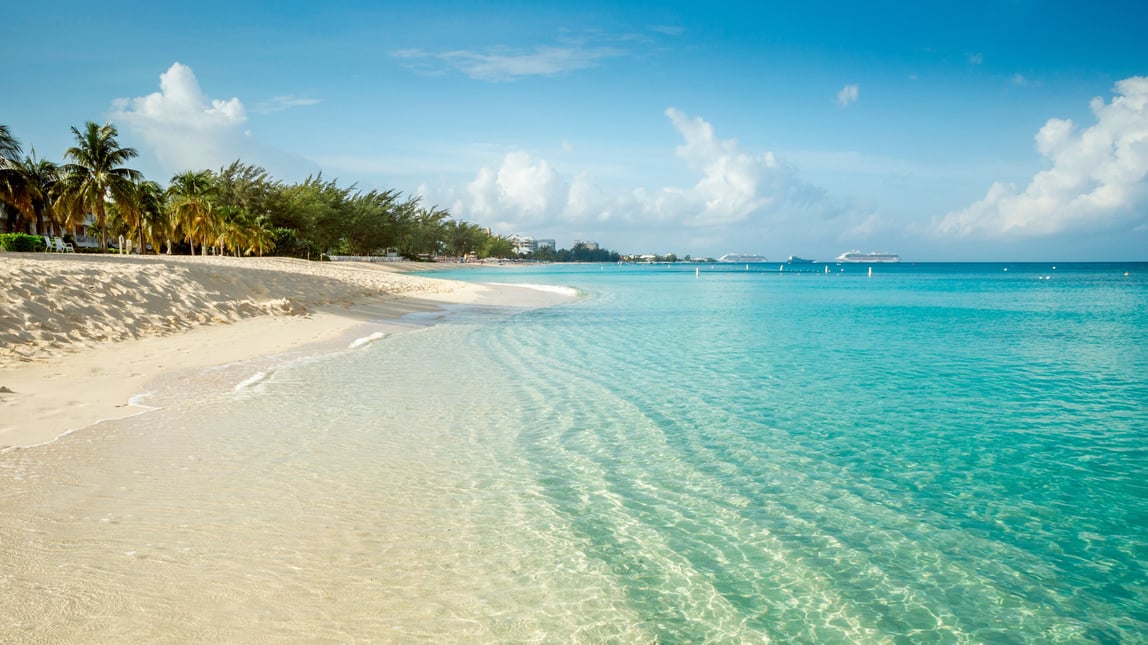Tropical beach with clear turquoise water and palm trees under a blue sky.