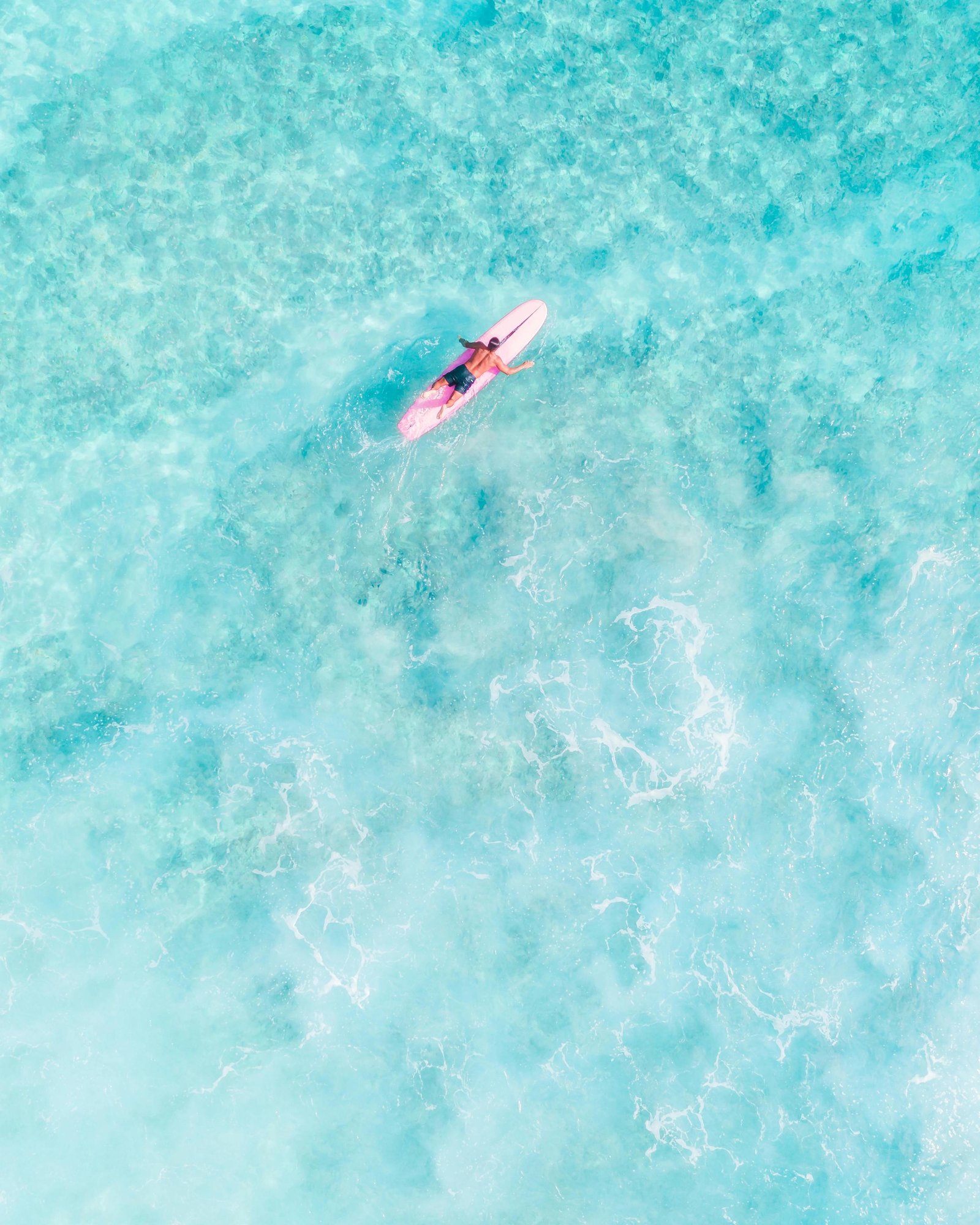 pexels-jess-vide-4321465