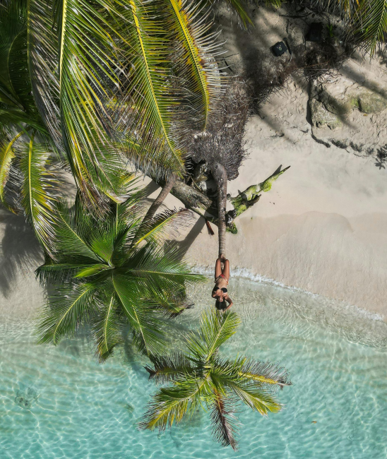 Advance Booking Special